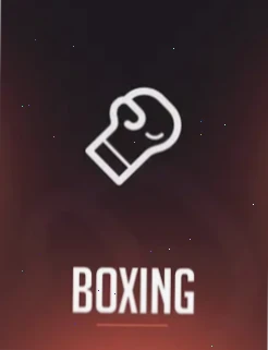 Rainbet Boxing Rainbet Bonus
